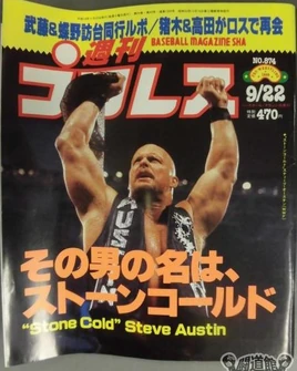 Weekly Pro Wrestling 874