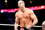 Cesaro13