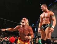 SummerSlam 2006.13.jpg (43 KB)