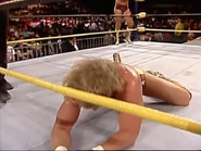 Wrestlewar 1991 11.jpg (73 KB)