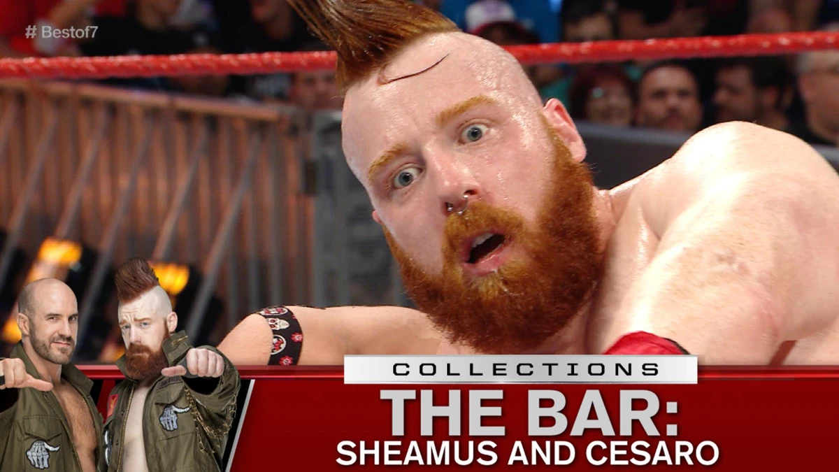 Best Of Seven Series Match 7 Pro Wrestling Fandom