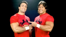 The Young Stallions.1