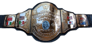Hogan 86 championship rare