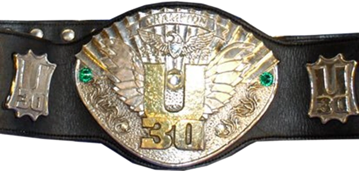 IWGP U30 Championship Pro Wrestling Fandom
