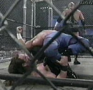 Thunder 2-18-99 8.jpg (8 KB) Cage action.