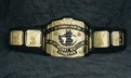 WWF Intercontinental Heavyweight Championship (1988 - 1998)