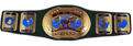 The World Wrestling Federation Intercontinental Title (1998-2002)