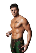 Cody Rhodes ROH '17