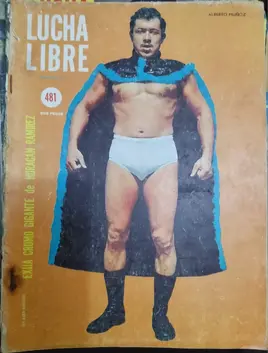 Lucha Libre 481