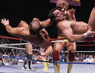 Royal Rumble 1989.3