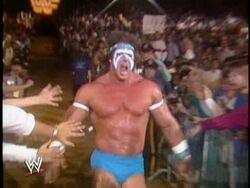 The self destruction of the ultimate warrior stream sales