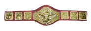 Red strap variation of WWWF Title used by both Billy Graham and Bob Backlund (1977-1983)