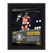 Finn Bálor NXT TakeOver: Brooklyn 10.5 x 13 Photo Collage Plaque