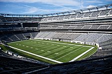 Metlife steps up to take Meadowlands naming rights - SportsPro