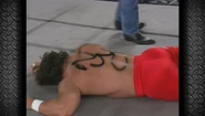 Nitro 8-26-96 12.png (226 KB)