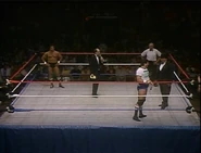 TNT 50 13.jpg (57 KB)