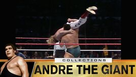 The Harder They Fall