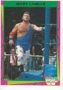 1995 WWF Wrestling Trading Cards (Merlin) no.118