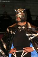 Rocky Romero: Black Tiger IV