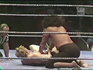 March 24, 1980 MSG.00053.jpg (26 KB)