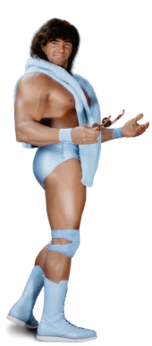 https://static.wikia.nocookie.net/prowrestling/images/c/c4/The_Model.png/revision/latest?cb=20121210190114