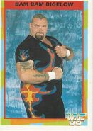 1995 WWF Wrestling Trading Cards (Merlin) Bam Bam Bigelow 24