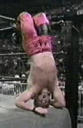 Thunder 2-18-99 5.jpg (6 KB) Lash LeRoux hanging from the top rope.