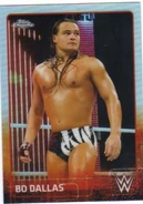 2015 Chrome WWE Wrestling Cards (Topps) Bo Dallas (No.8)