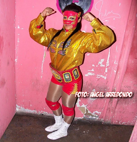 Lady Puma | Pro Wrestling | Fandom