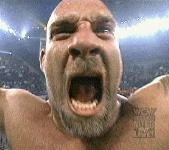 Goldberg celebrates the victory.