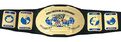 WWE Intercontinental Championship (2002 - 2011)