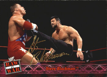 2001 WWF RAW Is War (Fleer) Steve Blackman 46