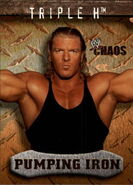 2004 WWE Chaos (Fleer) Triple H 87