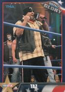 2013 TNA Impact Glory Wrestling Cards (Tristar) Taz (No.55)