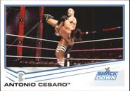 2013 WWE (Topps) Antonio Cesaro 47