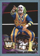 2010 WWE (Topps)