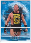 2017 WWE Undisputed Wrestling Cards (Topps) Big Cass 3