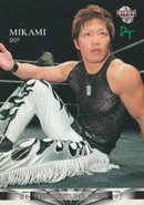 2006-07 BBM Pro Wrestling Mikami (No.69)