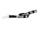 Bo Dallas "BO-LIEVE" Dog Leash