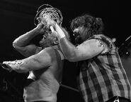 SummerSlam 2006.19.jpg (30 KB)