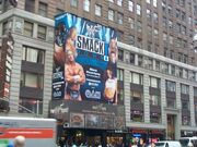 WWF New York