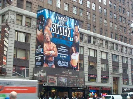 The World Wwe Pro Wrestling Fandom