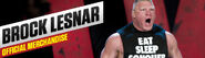 Brock-Lesnar-banner