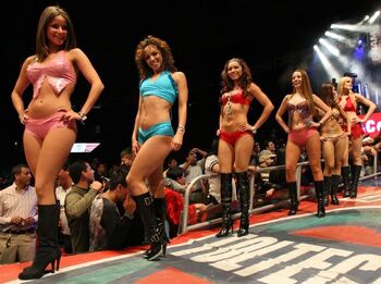 Edecánes del CMLL