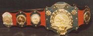 Original WWF Intercontinental Championship (1979)