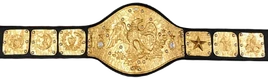 NWF Heavyweight Championship Full