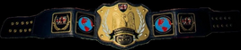LCW Championship