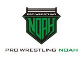 Pro Wrestling NOAH