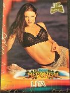 2001 WWF The Ultimate Diva Collection (Fleer) Lita (No.93)