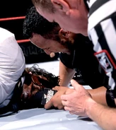 Royal Rumble 1999.0.jpg (82 KB)